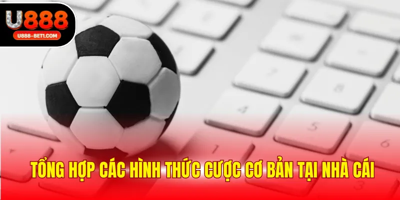 Tổng hợp các hình thức cược cơ bản tại nhà cái